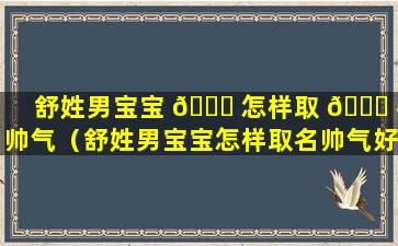 舒姓男宝宝 🐅 怎样取 🍁 名帅气（舒姓男宝宝怎样取名帅气好听）